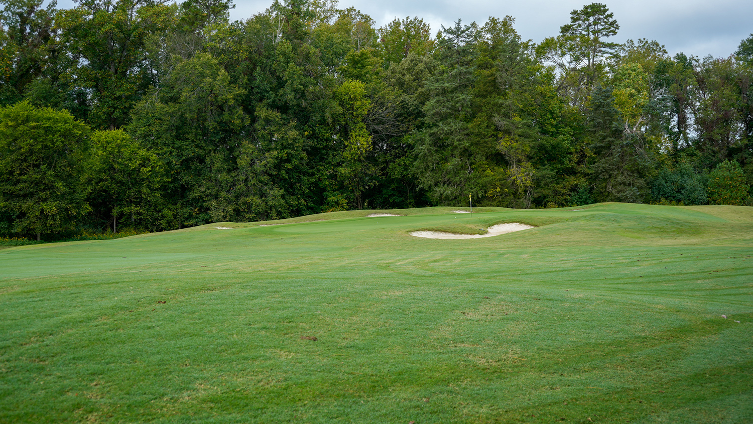 Championship Course 7