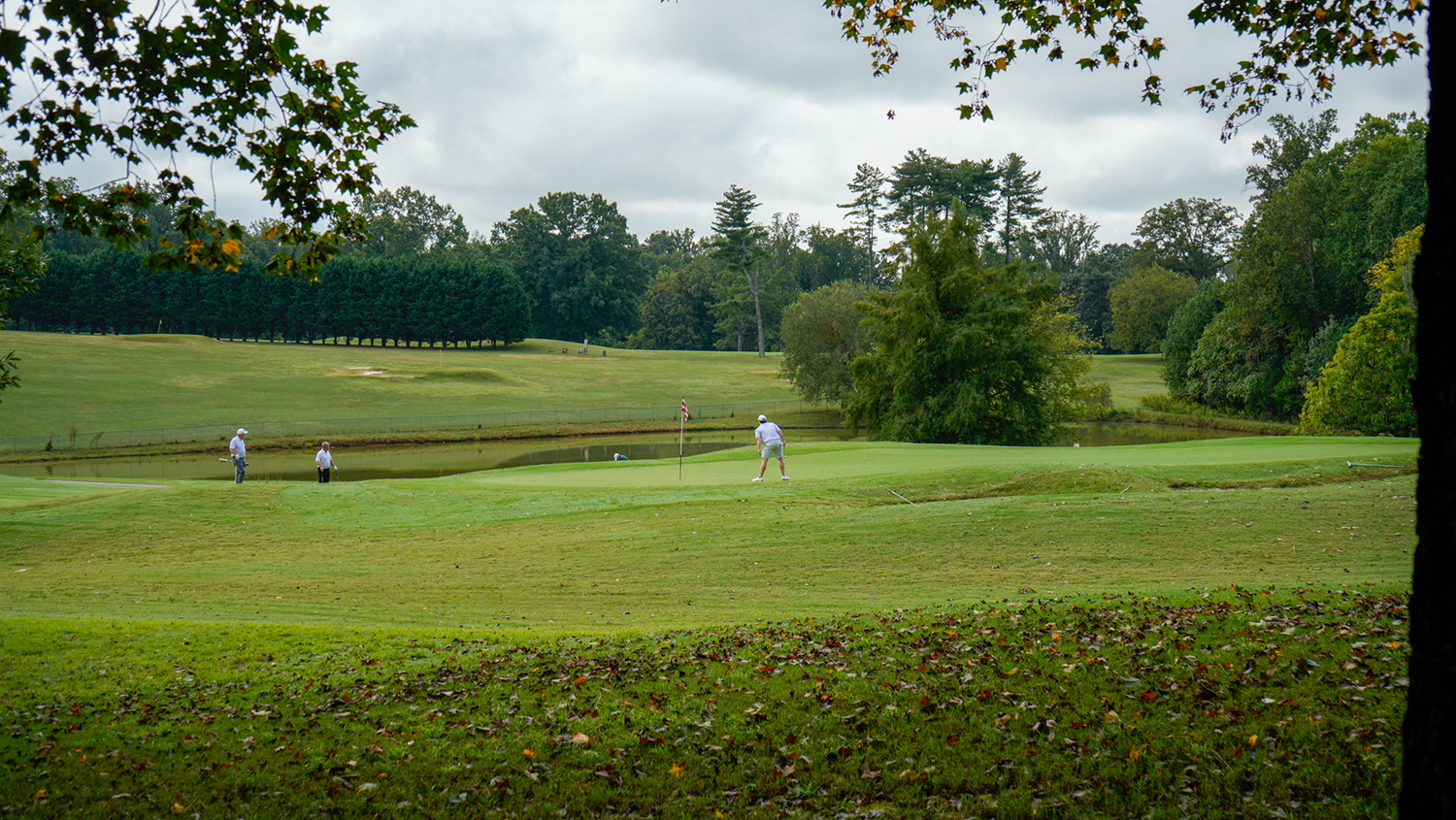 Championship Course 11
