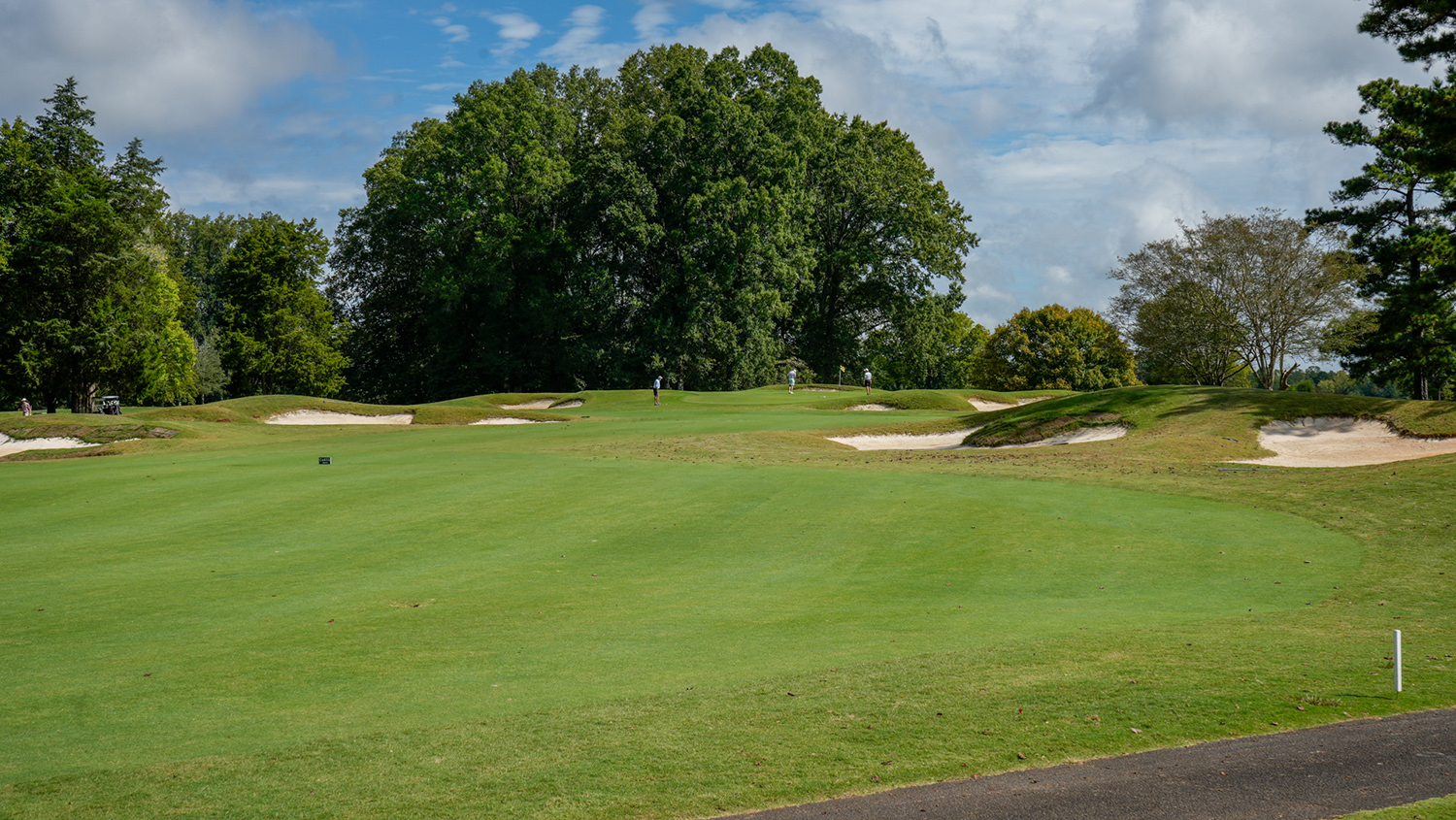 Championship Course 19