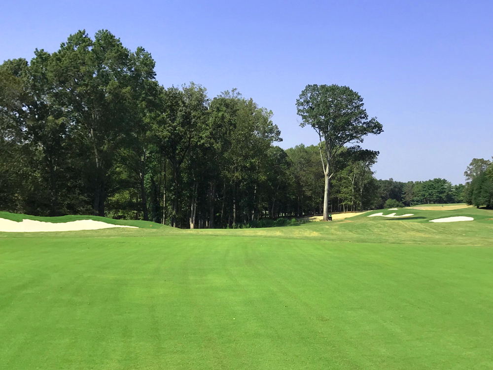 Championship Course 5