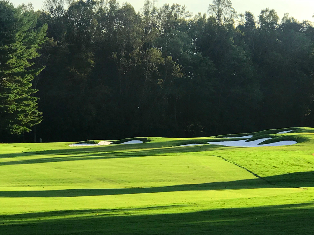 Championship Course 6