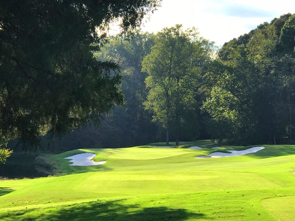 Championship Course 8