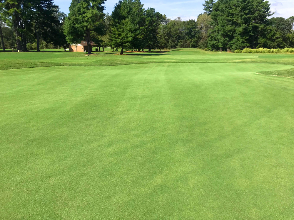 Championship Course 3